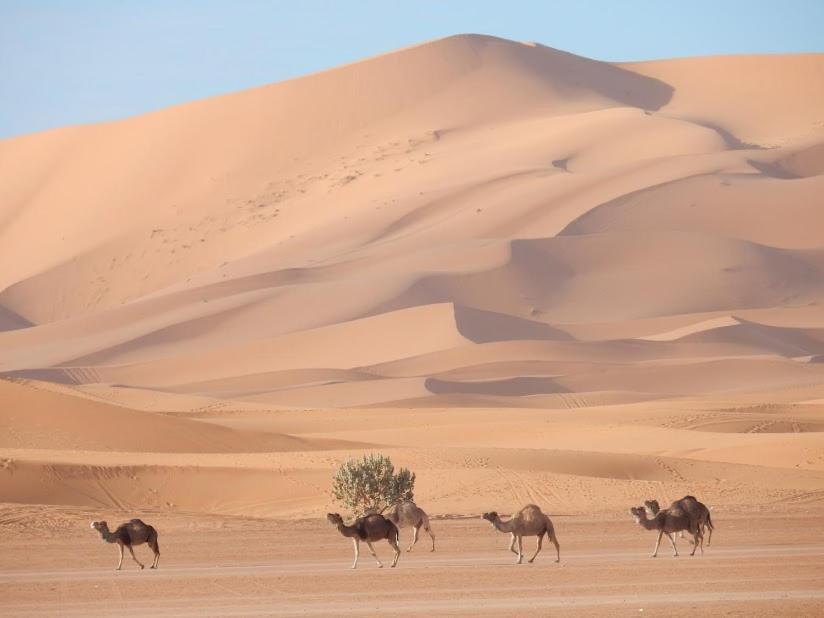Auberge Sahara Garden Lac Yasmins エクステリア 写真